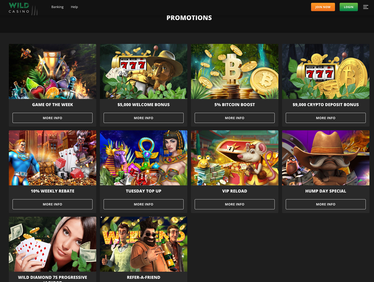 Wild Casino2