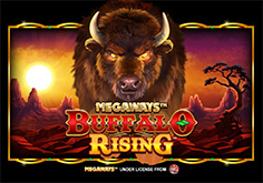 Buffalo Rising Megaways Logo
